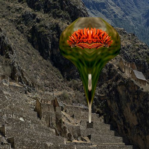 Image zwevende bloemen in een Peruaans KUNST glas