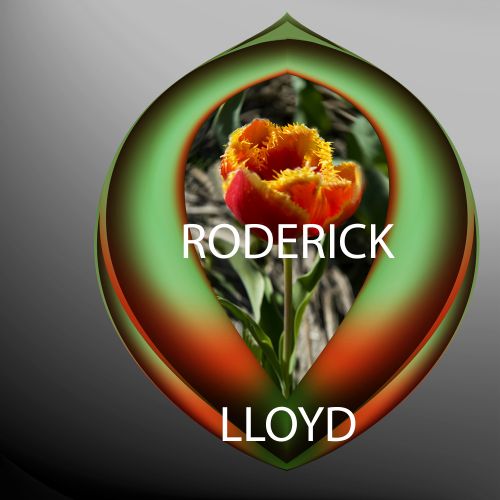 Image het tulp 3D+ wand-KUNST-werk