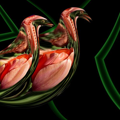 Image de tulp vogels