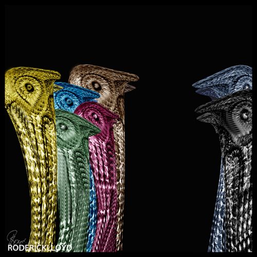 Image in discussie