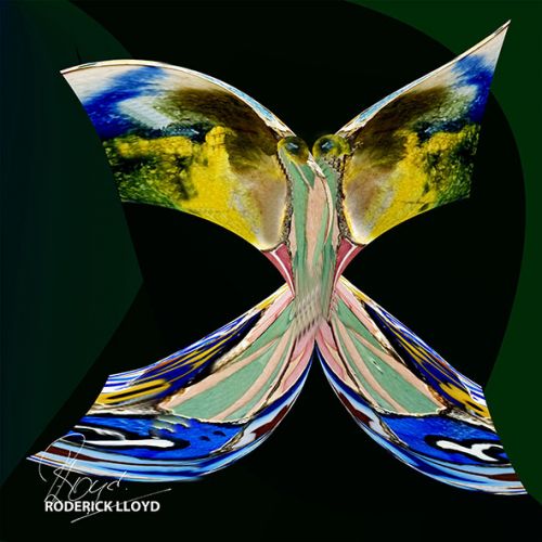 Image de kleurrijke Spaanse vlinder 2