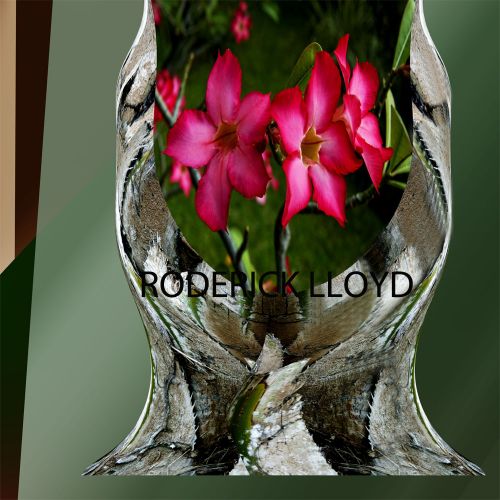 Image nature combi ART vase